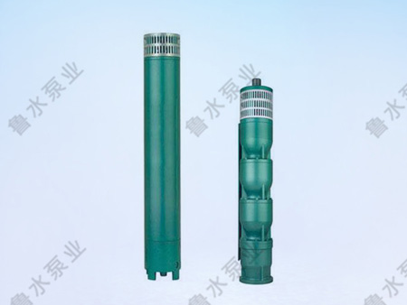 175QJ井用潛(qian)水電泵(bèng)