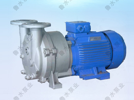 2BV水環(huán)式真空泵(beng)