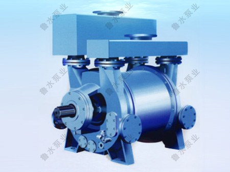 2BE系列水環式(shi)真空泵